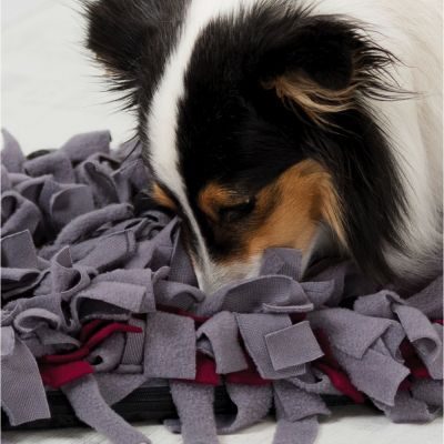 alfombra olfativa para perros comprar ofertas opiniones barato alfombras para perros alfombra olfativa snuffle mat alfombra de olfato para perros comprar alfombra de olfato para perros oferta Como hacer una alfombra olfativa para perros