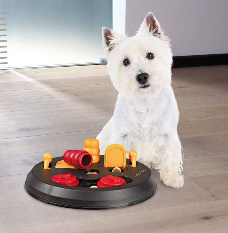 juguetes para perros inteligentes comprar ofertas opiniones juguetes inteligentes para perros