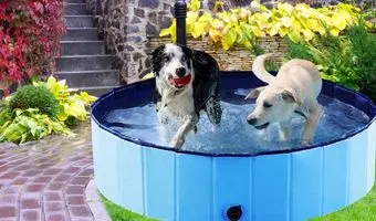 piscinas para perros grandes