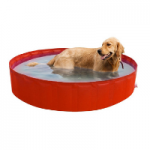 piscinas para perros rigidas de plastico duro comprar ofertas barato accesorios perros piscinas para perros rigidas opiniones adiestramiento para perros