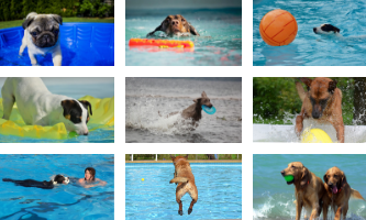 juguetes acuaticos para perros comprar oferta baratos precio opiniones comprar piscinas para perros piscina plegable rigida de plastico duro