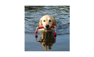 Juguetes acuáticos para perros Trixie perros catalogo barato comprar ofertas opiniones online pelotas para perros trixie caucho natural huesos para perros juguetes perros trixie