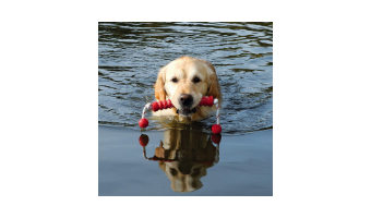 Juguetes acuáticos para perros Trixie perros catalogo barato comprar ofertas opiniones online pelotas para perros trixie caucho natural huesos para perros juguetes perros trixie